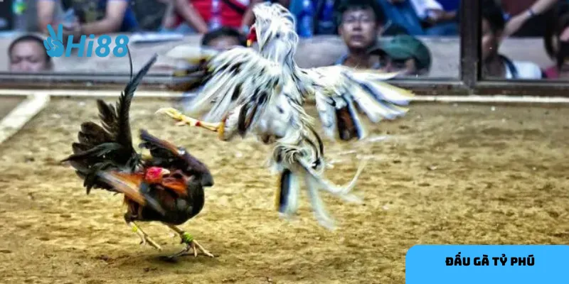 Chiến thuật đúng đắn mang lại lợi thế lớn.